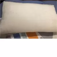 佳丽斯防螨抗菌丝绒枕头枕芯超柔枕护颈枕头 48*73CM