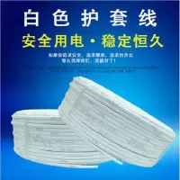得力(deli) 珠江电缆RVV2芯平行护套电源线 珠江白护套2*2.5平方100米（单位：卷）