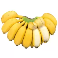 新鲜水果 香蕉 57Kg