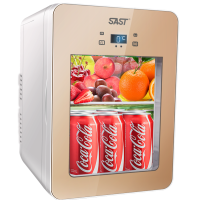 先科22L车家两用半导体冷热箱(WB2)