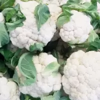 新鲜 菜花