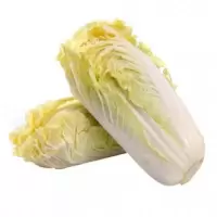 娃娃 菜