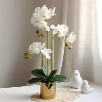 浦诺菲 手感保湿蝴蝶兰仿真花套装盆栽客厅装饰假花摆设摆件插花绢花北欧 gk