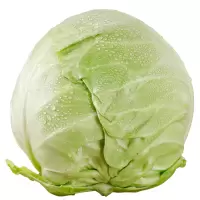 新鲜蔬菜产地直供包菜500g*2