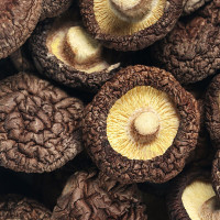 新鲜蔬菜蘑菇500g