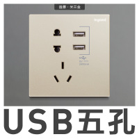 罗格朗(Legrand)墙壁家用暗装开关插座逸景香槟金色墙上暗线86型 USB五孔 逸景米兰金