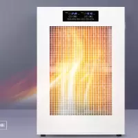 宝工电器BGP2006-60壁挂式热风机220V/380v