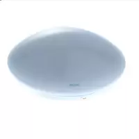 小器鬼 LED 吸顶灯 36W