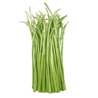 新鲜蔬菜芦蒿500g