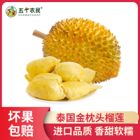 [五个农民](请勿生切)泰国金枕头进口榴莲(1个)3-4斤新鲜水果现摘特产 榴莲自营