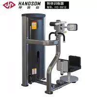 悍德森HS6912转体训练器健身房专用