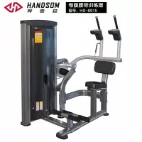 悍德森HS6915腰背训练器健身房专用