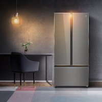 对开门冰箱EHE4809GDS (单位:台)(BY)