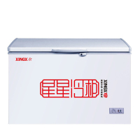 星星 BD/BC-305E 商用卧式冰柜 单温单箱冰箱 冷藏冷冻转换冷柜 安全门锁 顶开门 305升