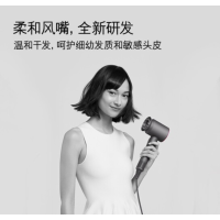 戴森HD03吹风机银白色