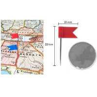 晨光100枚 长针小旗钉 地图标注红旗钉 彩旗钉软木图钉 地标钉