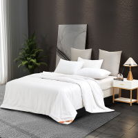 洁 丽 雅(grace)JLYCS002舒适蚕丝被-恬馨 200*230cm