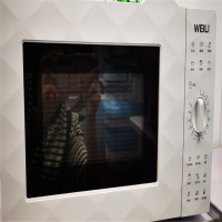 威力微波炉20L 单个装