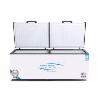 BD/BC-638冷柜大冰柜冷藏双温商用大容量冰柜