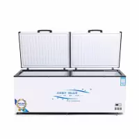 BD/BC-638冷柜大冰柜冷藏双温商用大容量冰柜