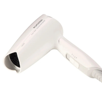 飞科(FLYCO) 吹风FH6255