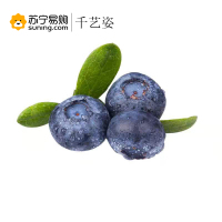 千艺资 蓝莓 约500克/盒