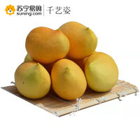 千艺资 芒果 500克/份