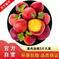 [顺丰直发]新鲜油桃 现摘新鲜水果当季桃子脆甜黄肉油桃 5斤装大果