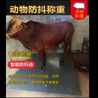 电子地磅秤 0.75m*1.5m(0-3吨)