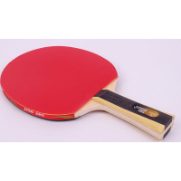 乒乓球拍(副)