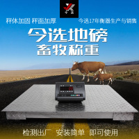 永源 电子称地磅地磅0.8*1.5/3顿/工业地磅称猪羊牛称重平台称物流称地磅称小型gk
