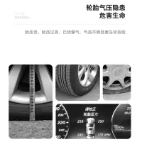 车管家 车载充气泵-GJ-8012
