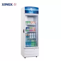 星星(XINGX) LSC-223G 立式冷柜 商用冰柜立式 展示柜 饮料冷藏保鲜陈列柜