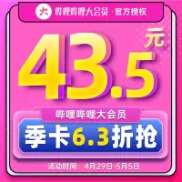 哔哩哔哩大会员3个月 bilibili会员B站大会员季卡 b站VIP会员充值 填手机号