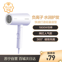 飞科 FLYCO 电吹风FH6277 1800W大功率电吹风(单位;个)(BY)