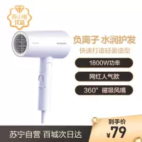 飞科 FLYCO 电吹风FH6277 1800W大功率电吹风(单位;个)(BY)