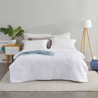 罗莱 恬梦暖绒纤维被 （春秋被）