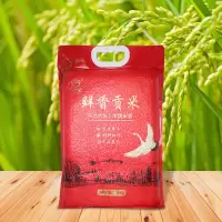 米妹妹(MIMEIMEI)米妹妹鲜香贡米5kg