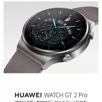 华为手表WATCH GT 2pro保时捷版