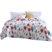 梦洁(MENDALE)纯棉印花抗菌清爽被夏凉被全棉夏季被子被芯