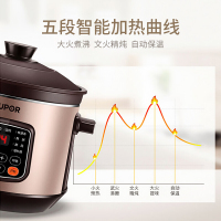 DG40YC11-28电炖锅