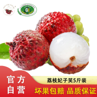 顺丰直发 现摘荔枝妃子笑荔枝新鲜应季水果 5斤装