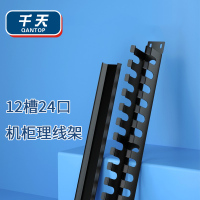 千天(QANTOP)理线架12档24口 工程级19英寸加厚型机柜网线网络光纤理线架线缆管理器QT-LXJ003