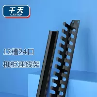 千天(QANTOP)理线架12档24口 工程级19英寸加厚型机柜网线网络光纤理线架线缆管理器QT-LXJ003