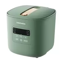 大宇(DAEWOO)FB16韩国大宇电饭煲淀粉1.6L升两用电饭锅