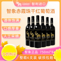 智利智象赤霞珠干红葡萄酒750ml*6 正箱装送礼聚会佐餐