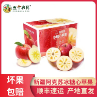 [五个农民]顺丰速运新疆阿克苏冰糖心苹果9斤中果70-75mm左右 新鲜水果 坏果赔付
