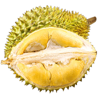 泰国金枕头榴莲一个装 约7-8斤 新鲜水果