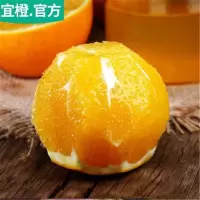伦晚脐橙5斤60-70mm湖北宜昌秭归当季现摘新鲜水果橙子