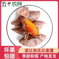 [五个农民]云南西瓜红蜜薯 红薯新鲜9斤大薯